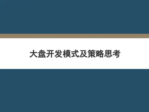 大盘开发模式及策略思考完整版