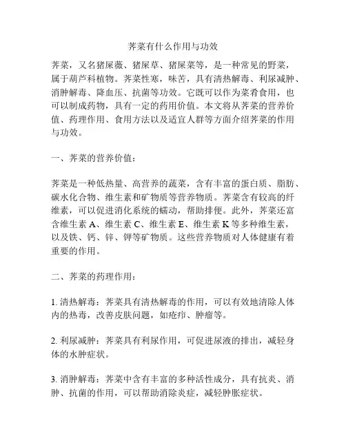 荠菜有什么作用与功效