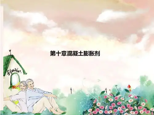 第十章混凝土膨胀剂