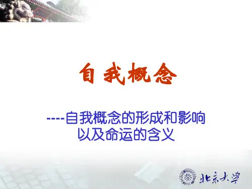 自我概念