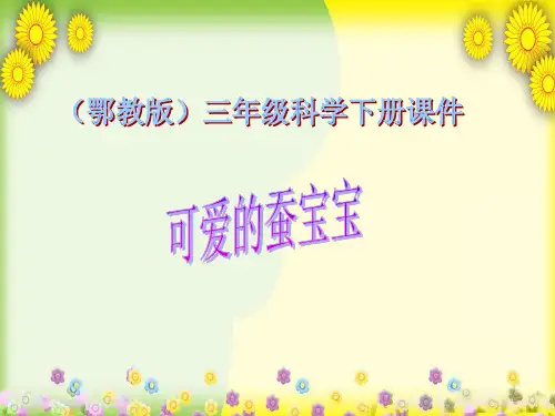 (鄂教版)版小学科学三下《可爱的蚕宝宝》PPT课件(同课异构)(2)