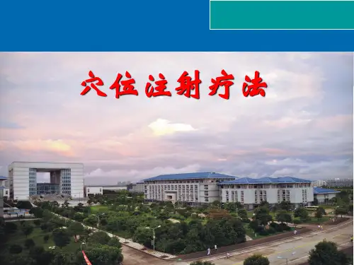 穴位注射疗法