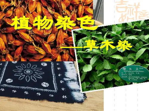 植物染色