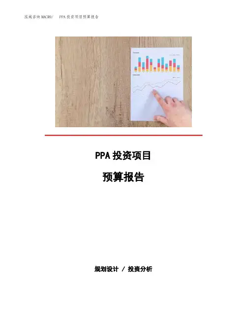 PPA投资项目预算报告
