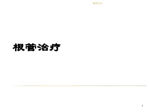根管治疗课件