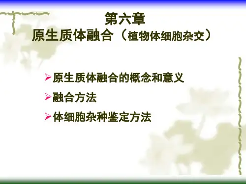 第六章 原生质体融合