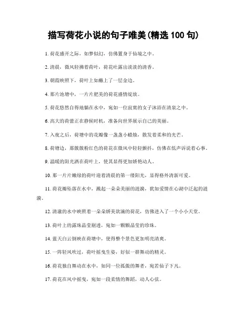 描写荷花小说的句子唯美(精选100句)