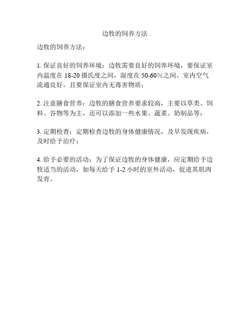 边牧的饲养方法
