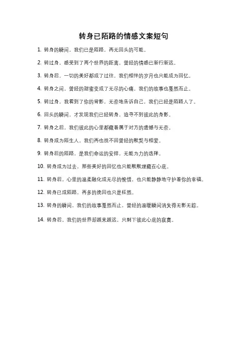 转身已陌路的情感文案短句