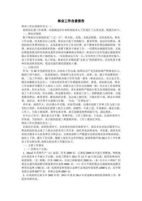 林业工作自查报告