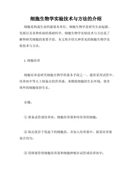 细胞生物学实验技术与方法的介绍