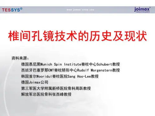 椎间孔镜技术的历史及现状医生介绍版_2ppt课件