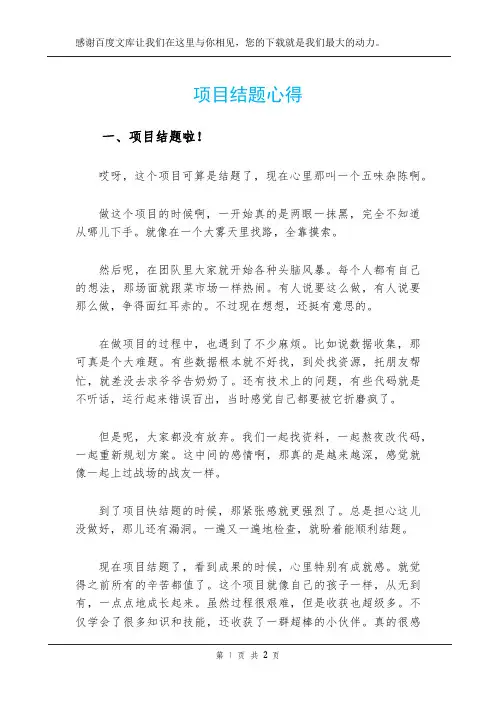 项目结题心得