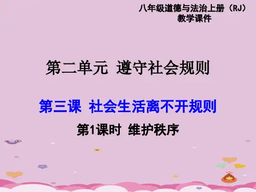 社会生活离不开规则ppt优秀课件(2份打包) 人教版