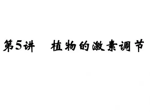 第5讲 植物的激素调节