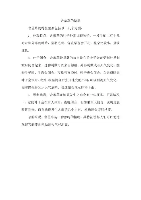 含羞草的特征