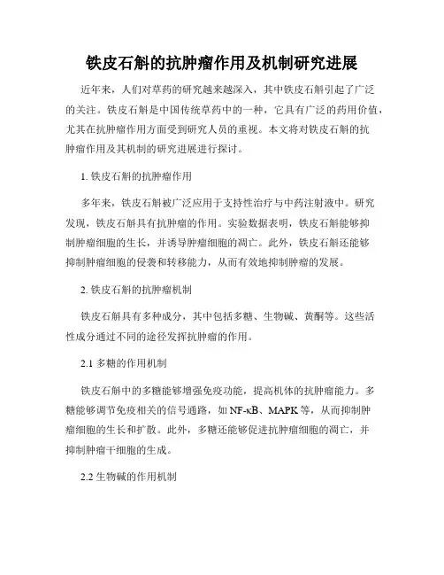 铁皮石斛的抗肿瘤作用及机制研究进展
