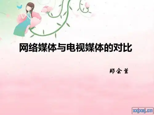 网络媒体与电视媒体的不同