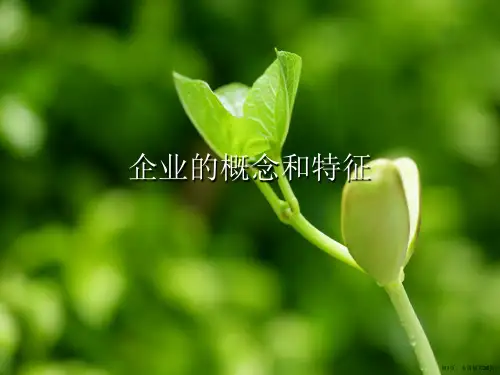 企业的概念和特征