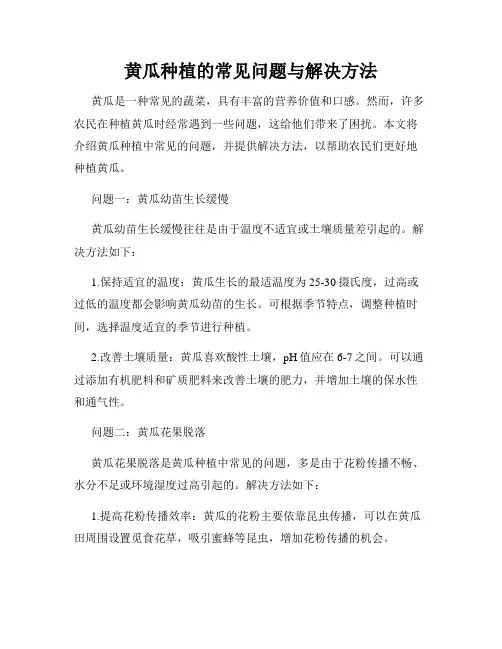 黄瓜种植的常见问题与解决方法