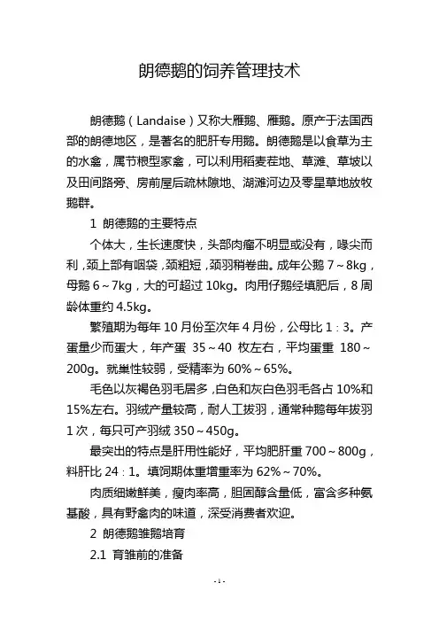 朗德鹅的饲养管理技术
