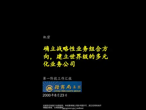 确立战略性业务组合方向建立.pptx