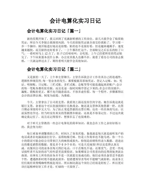 会计电算化实习日记