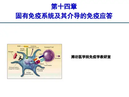 医学免疫学-第14章固有免疫系统及其介导的免疫应答