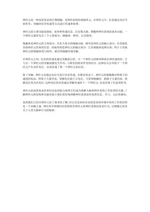 什么是神经元？它是如何传递和处理信息的？