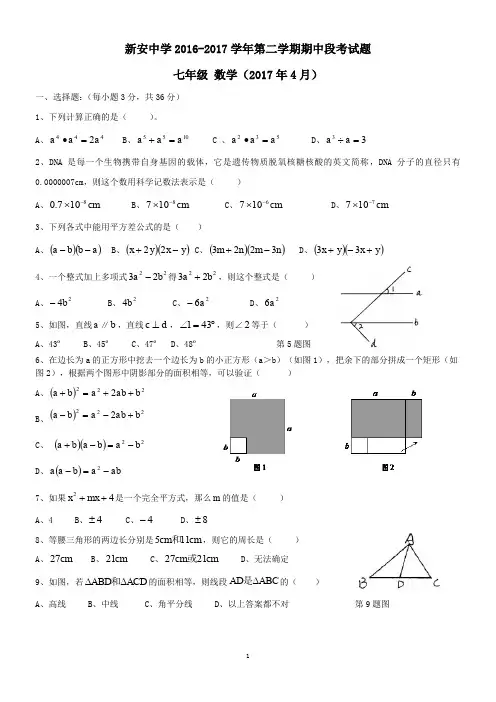 广东省深圳市宝安区新安中学2016-2017学年七年级第二学期数学期中考试卷