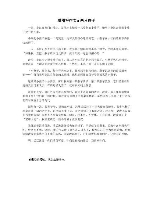 看图写作文x两只燕子