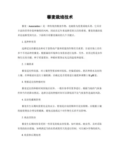 藜麦栽培技术