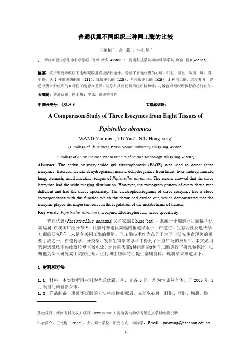 普通伏翼