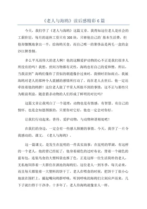 《老人与海鸥》读后感精彩6篇