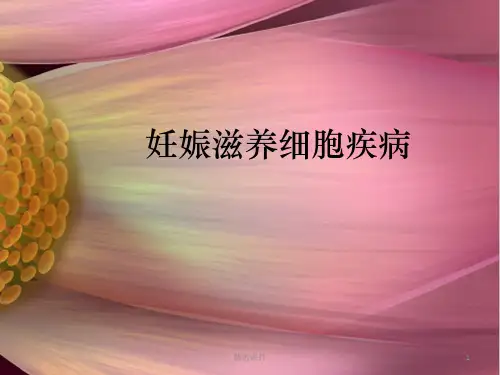 妊娠滋养细胞肿瘤ppt课件