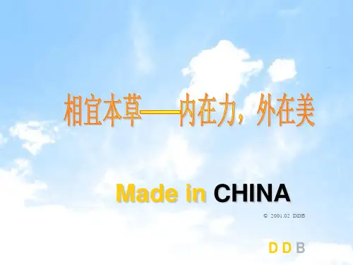 相宜本草 PPT课件