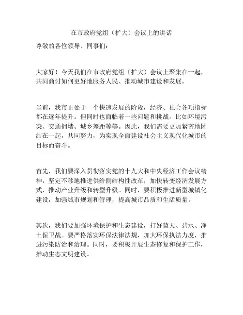 在市政府党组(扩大)会议上的讲话