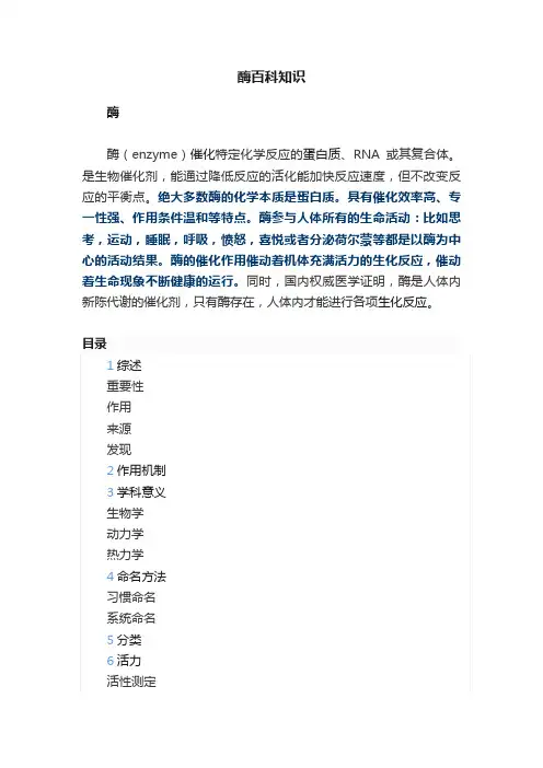 酶百科知识