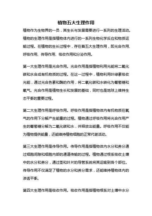 植物五大生理作用