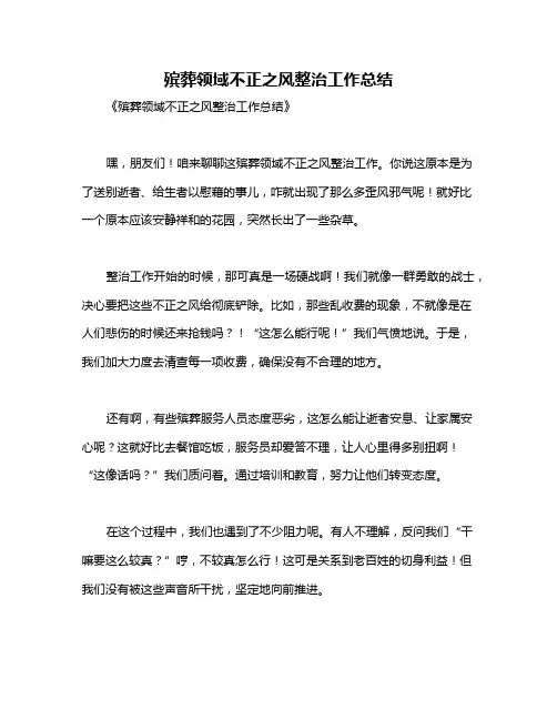 殡葬领域不正之风整治工作总结