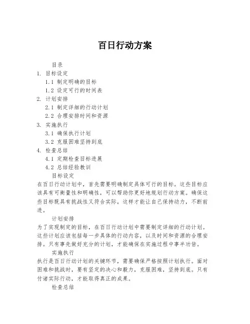 百日行动方案