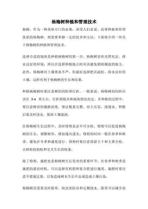 杨梅树种植和管理技术
