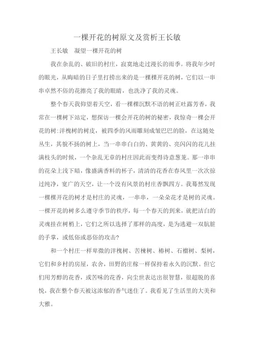 一棵开花的树原文及赏析王长敏