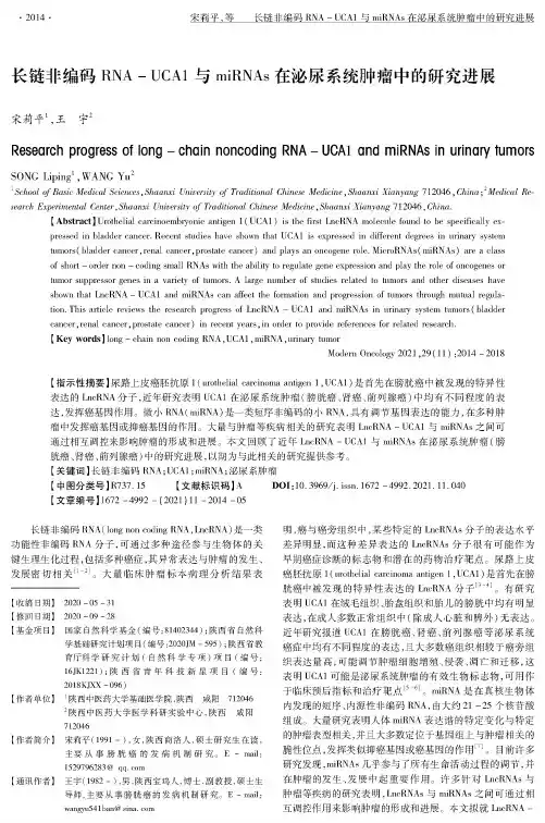 长链非编码RNA-UCA1与miRNAs在泌尿系统肿瘤中的研究进展