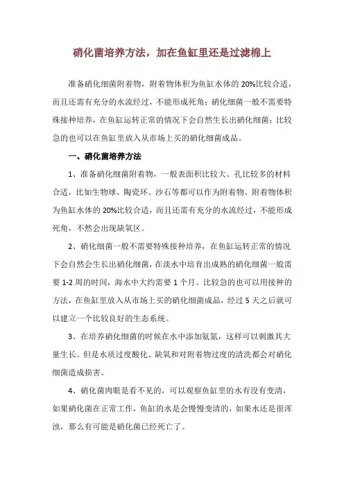 硝化菌培养方法,加在鱼缸里还是过滤棉上