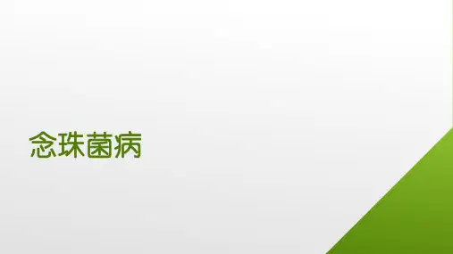 念珠菌病 