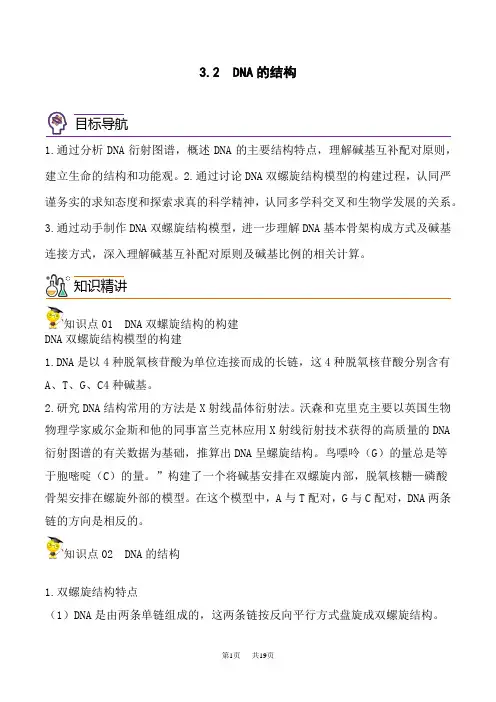 人教版高中生物必修第2册同步精品讲义 3.2 DNA的结构(教师版)