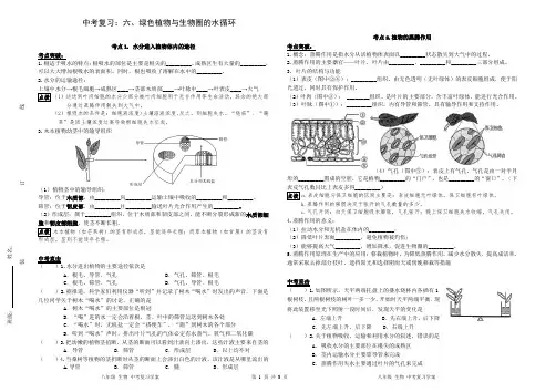 生物中考复习六： 绿色植物与生物圈的水循环
