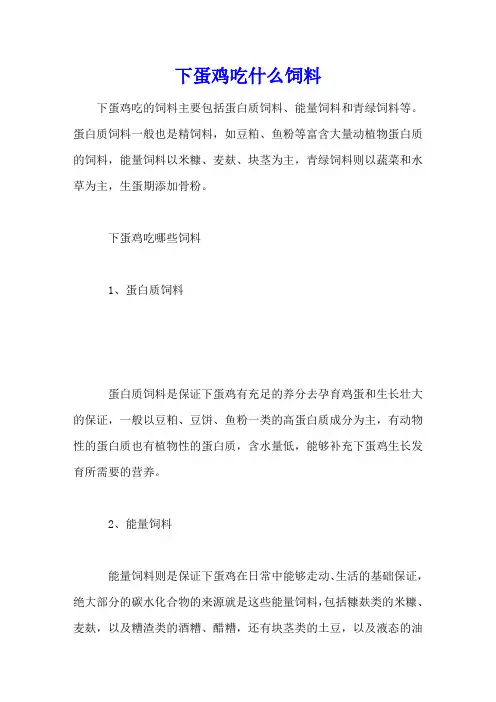 下蛋鸡吃什么饲料
