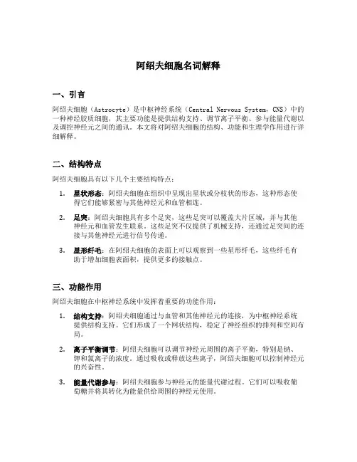 阿绍夫细胞名词解释